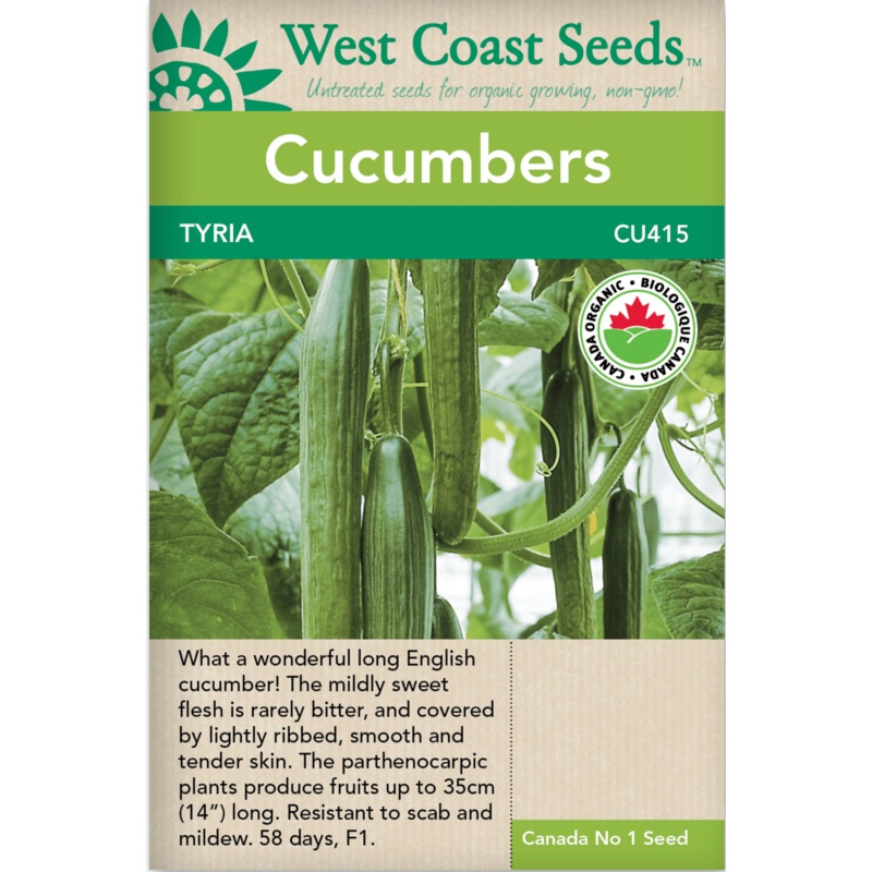 Agate Gemstone Sconce