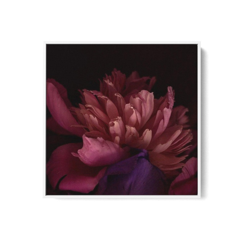 Botanica III SQ | Framed Canvas Art Print