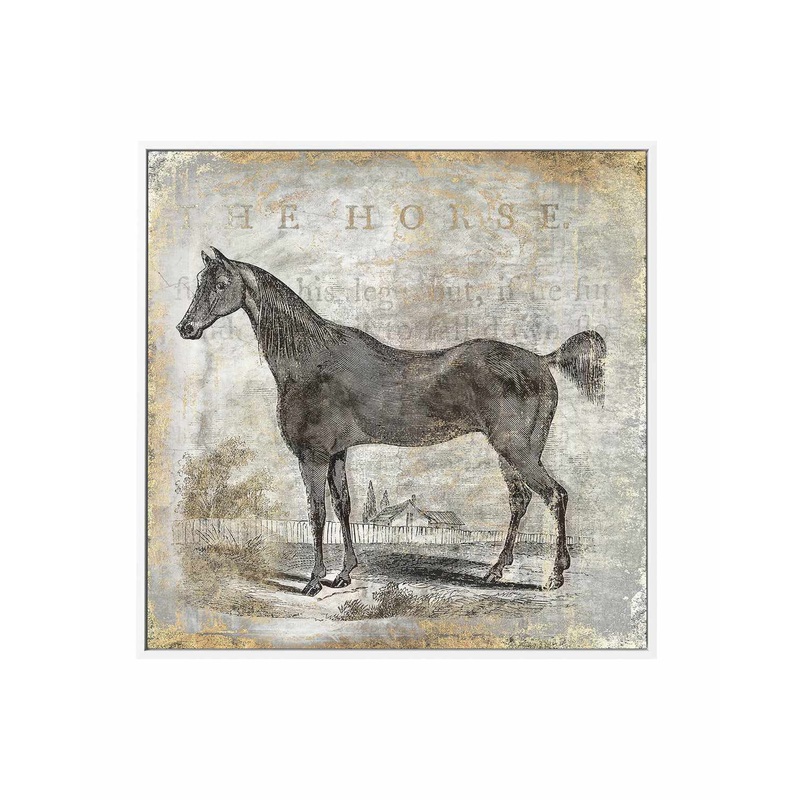 Gold Stallion III | Framed Canvas Art Print