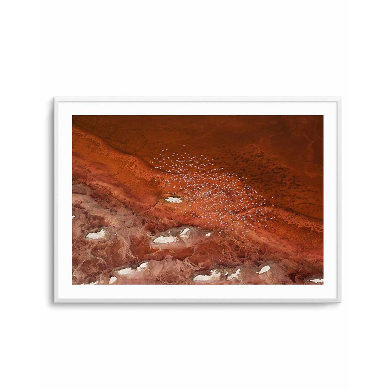 Red Earth by Phillip Chang Art Print