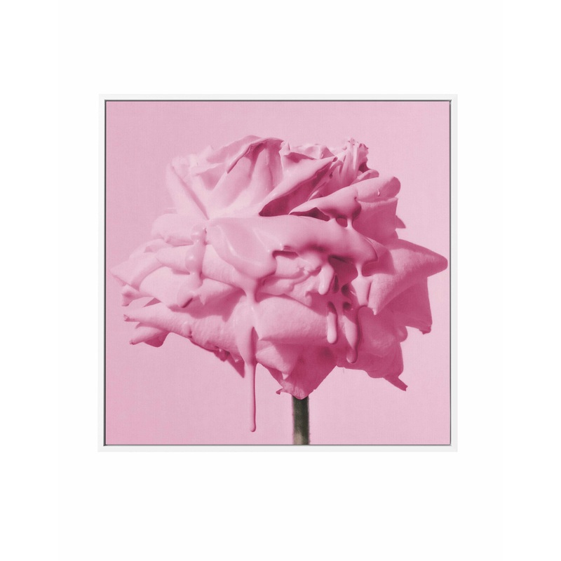 Wild Rose Pink Pop | Framed Canvas Art Print