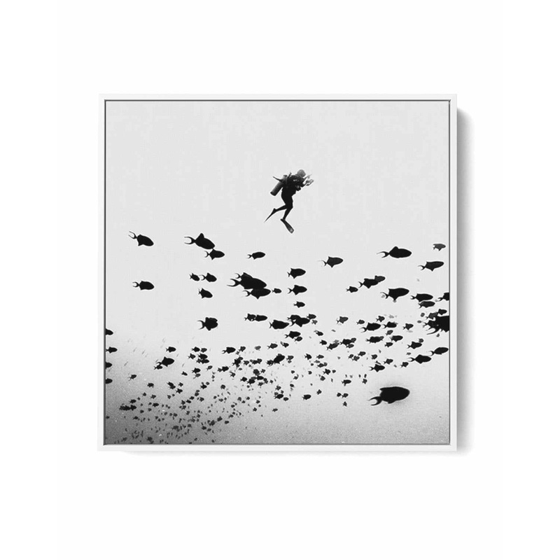 Scuba I SQ | Framed Canvas Art Print