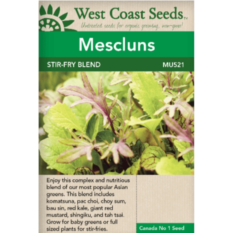 Squash First Taste Kabocha – West Coast Seeds