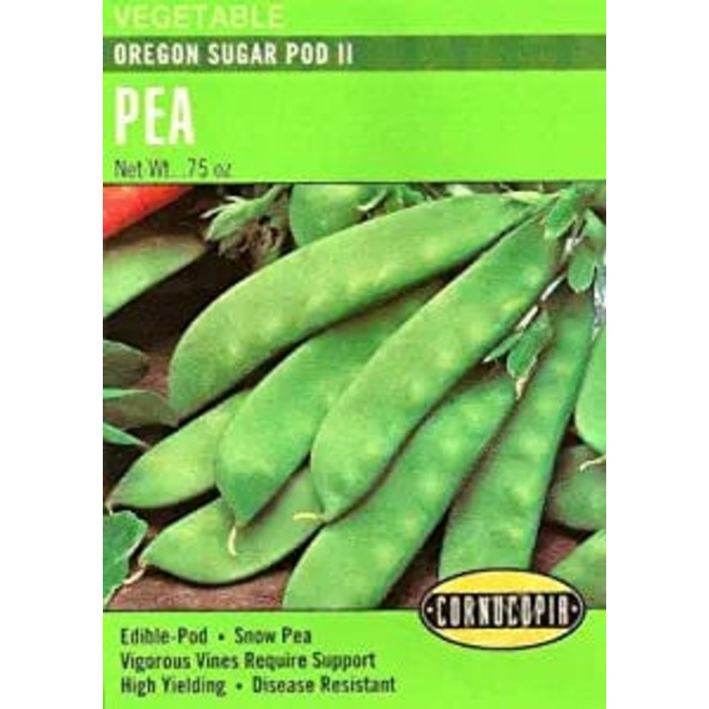 Squash Tivoli – West Coast Seeds