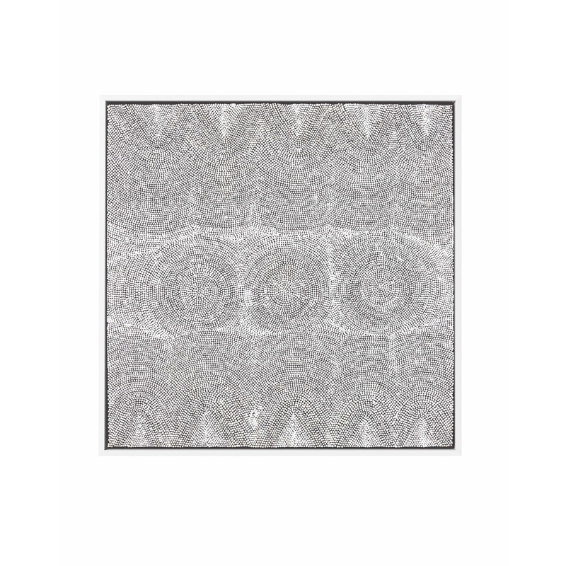 Water Dreaming II by Lizzie Nungarrayi Spencer | Framed Canvas Art Print