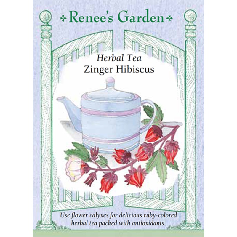 Anise – Pacific Northwest Seeds