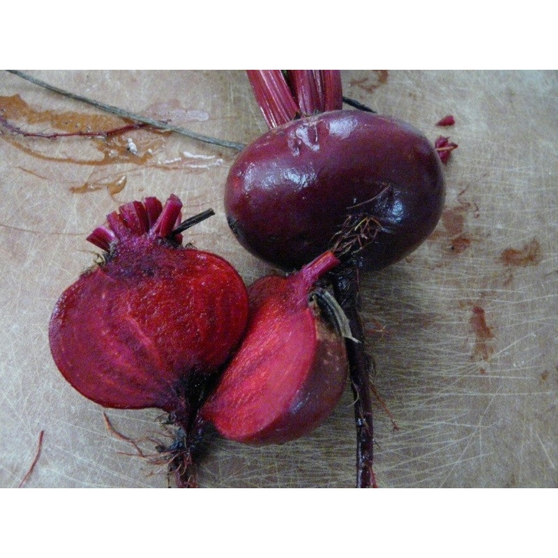 Bean Quincy Pinto – Saanich Organics