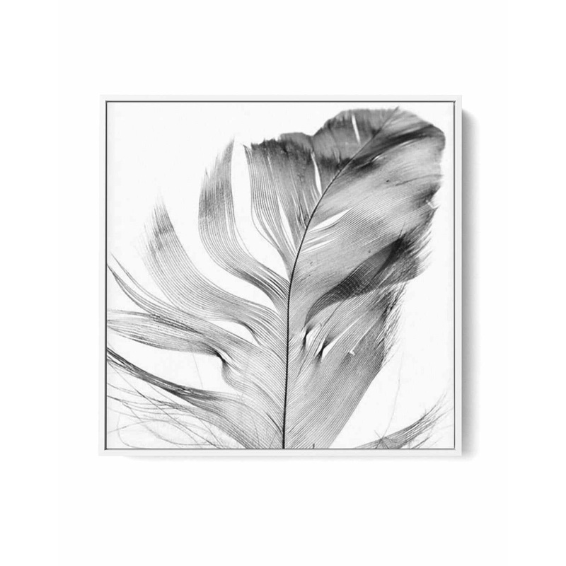 Feather Grey SQ | Framed Canvas Art Print