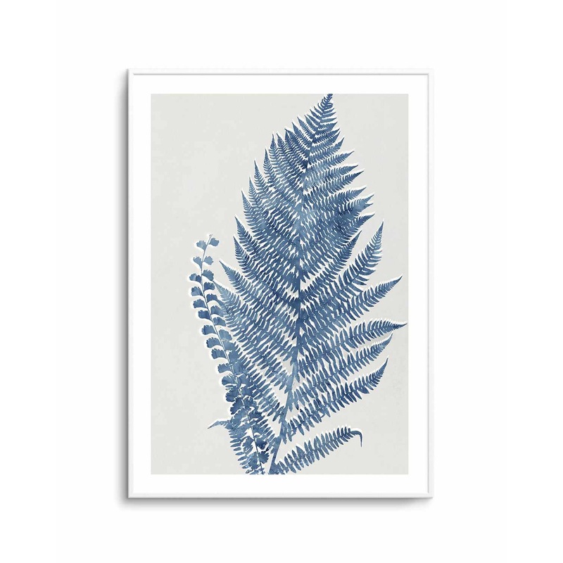 Fern I Art Print