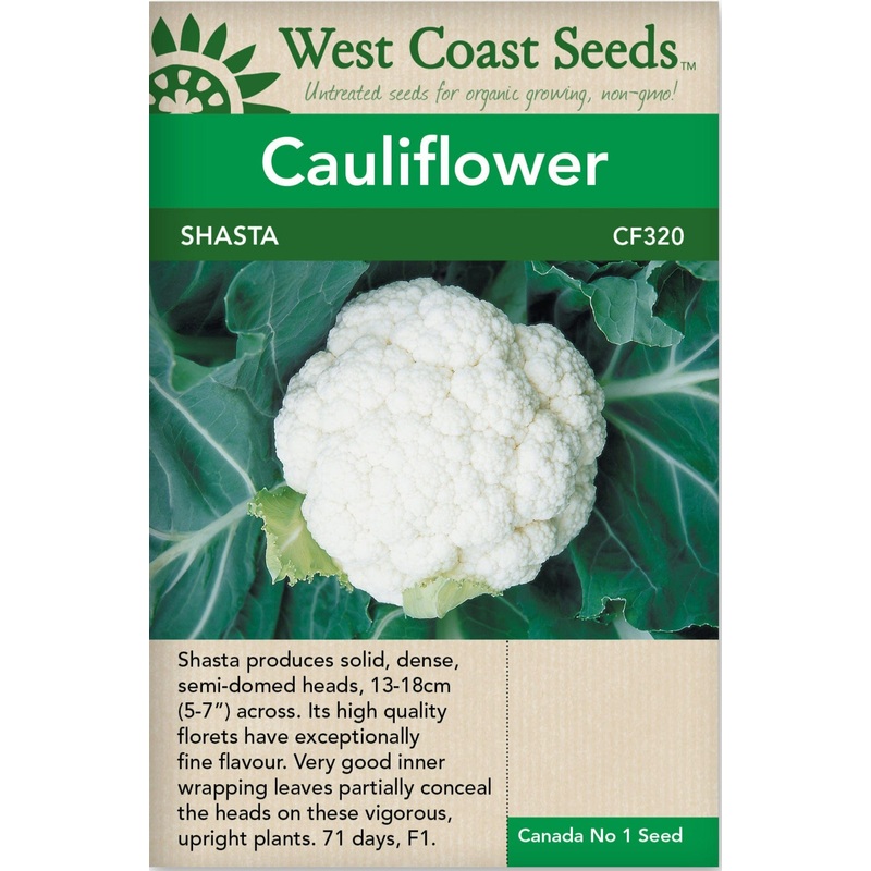 Anna’s Promise – Weeks Rose