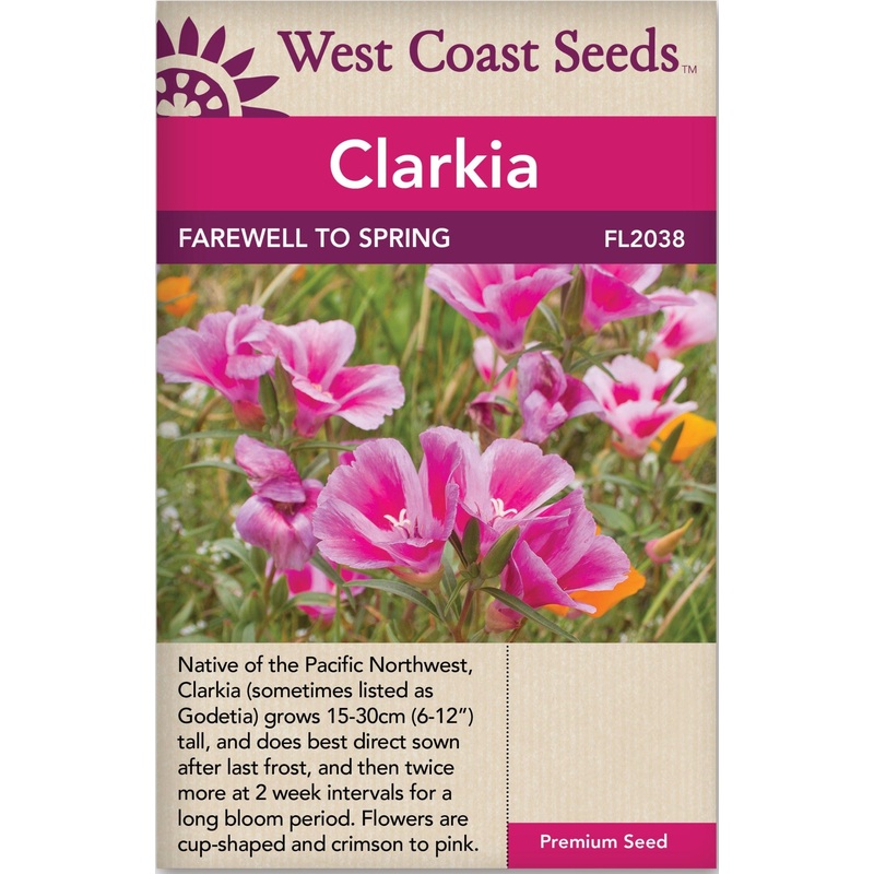 Stockholm Wall Sconce in White Plaster