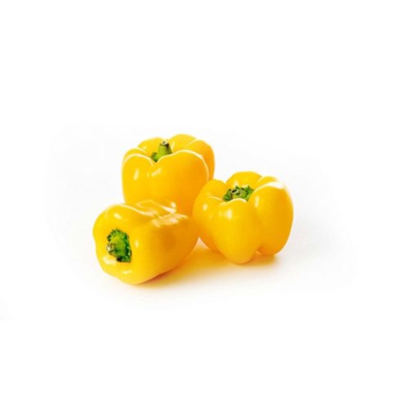 Tinkerbell Baby Yellow Block F1 Sweet Pepper – Vegetable – Capsicum annuum – 5 Seeds