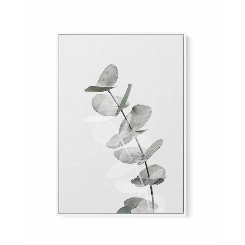 Eucalyptus Creative V By Studio III | Framed Canvas Art Print