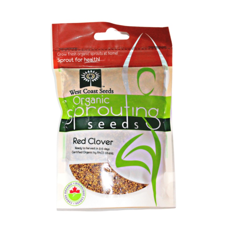 Alligator Table Lamp