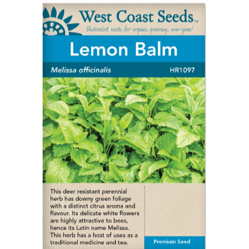 Alta Pitcher in Amber