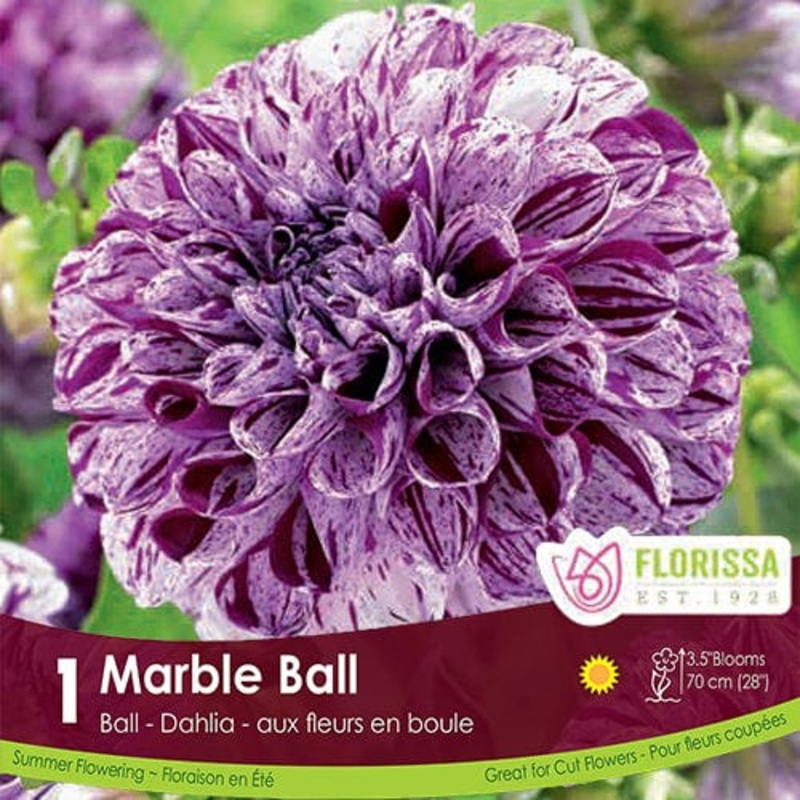 Ace Bag Toss Lawn Game