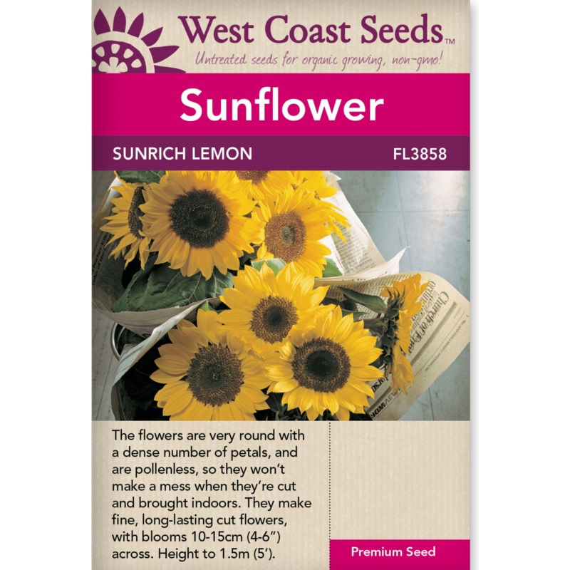 All Aboard Floor Mirror