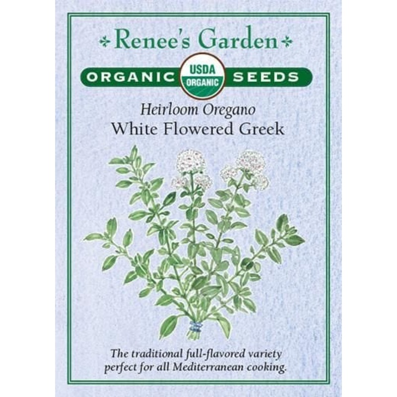 Bean Ferrari Bush – West Coast Seeds