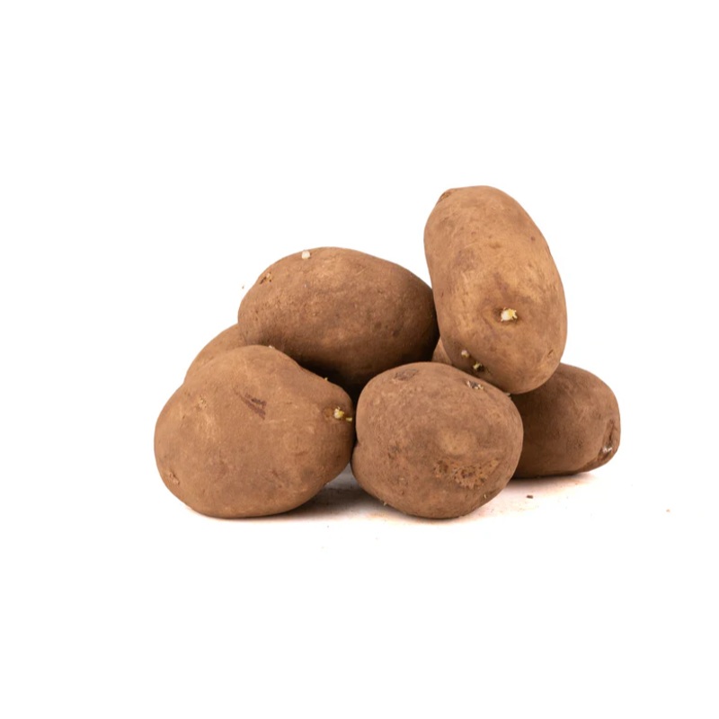 Valor Seed Potatoes – 7 Tubers – SPA