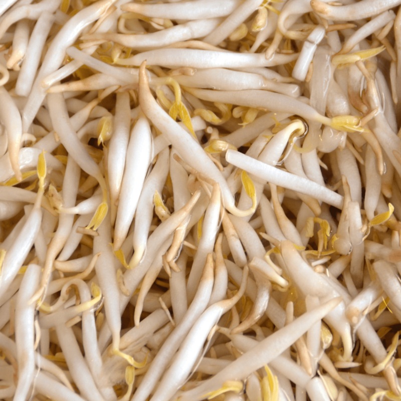 Vanessa Bell – David Austin Rose