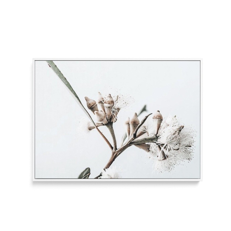 White Eucalyptus I | Framed Canvas Art Print