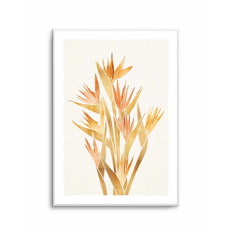 Bird of Paradise By Kristian Gallagher | Art Print