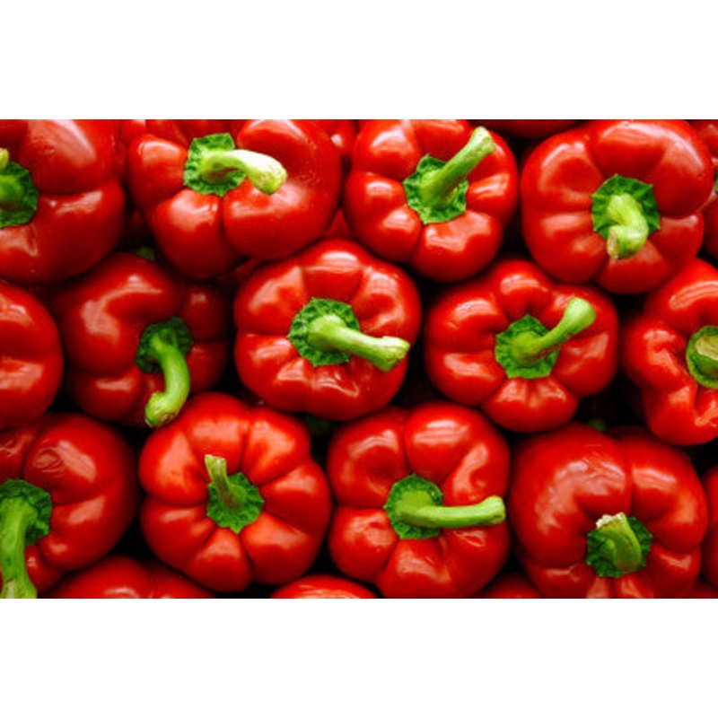 Swadini Red Sweet Bell Pepper – Capsicum Annuum – 10 Seeds