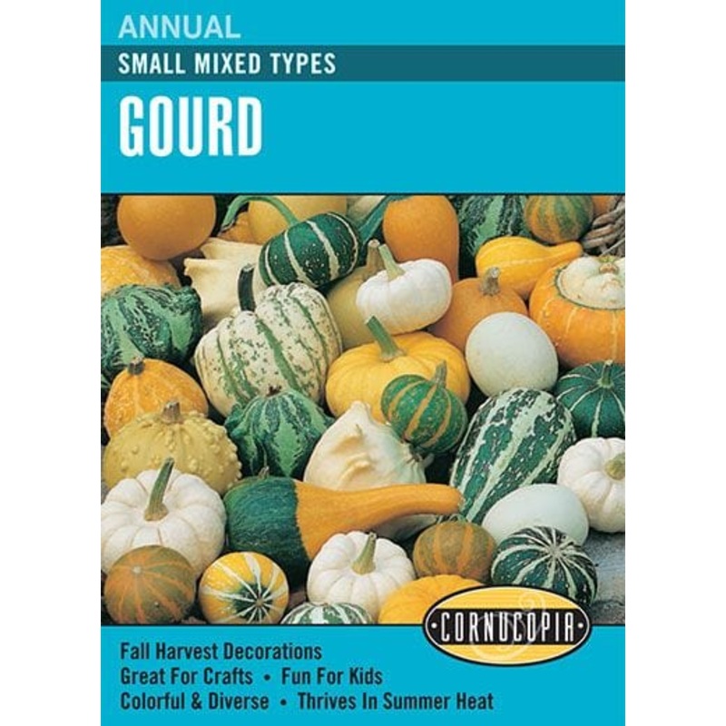 Tulip – Jaap Groot, 6 Pack