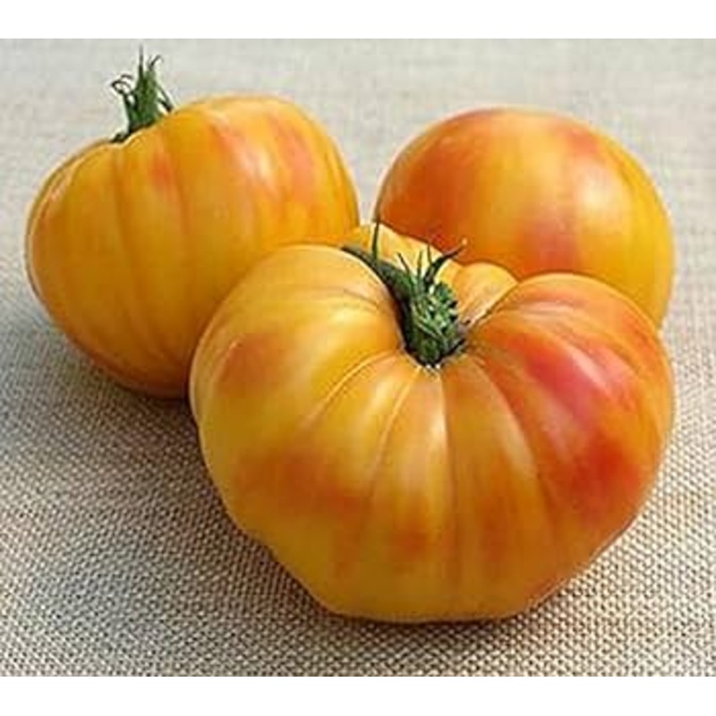 Bachelor’s Button Blue – Cornucopia Seeds