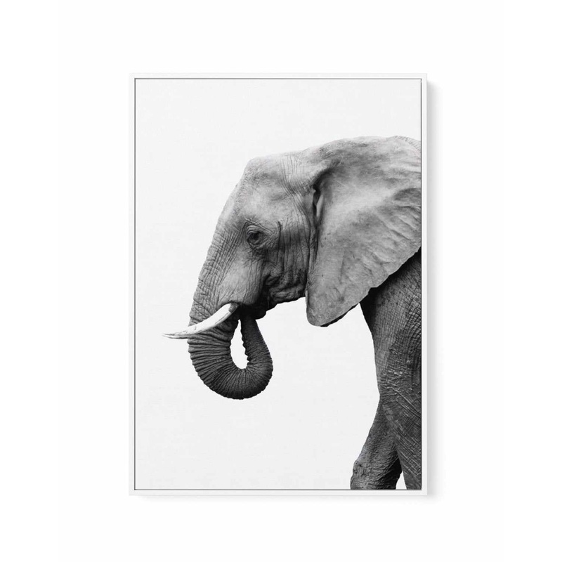 Elephant I | Framed Canvas