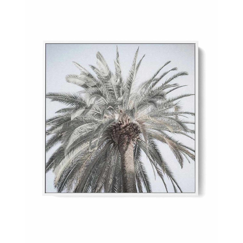 Santa Monica Palm SQ | Framed Canvas Art Print