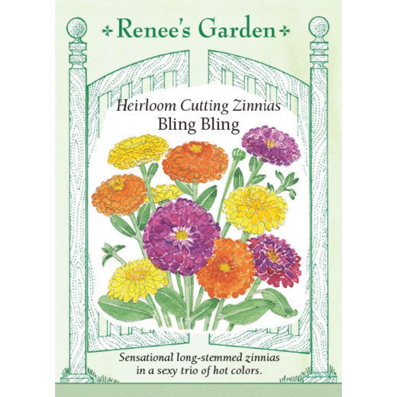 Sunflower Floristan – Pacific Northwest Seeds