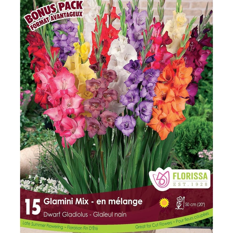 Zurich Comfort Chair