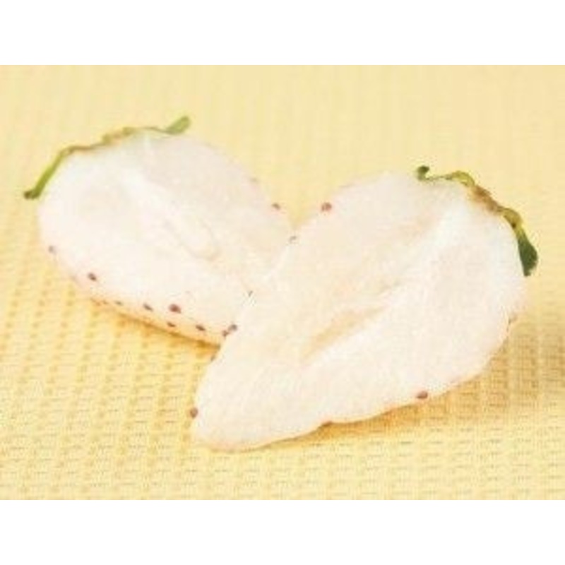 Alpine White Soul Strawberry Fruit – Fragaria Vesca – 25 Seeds