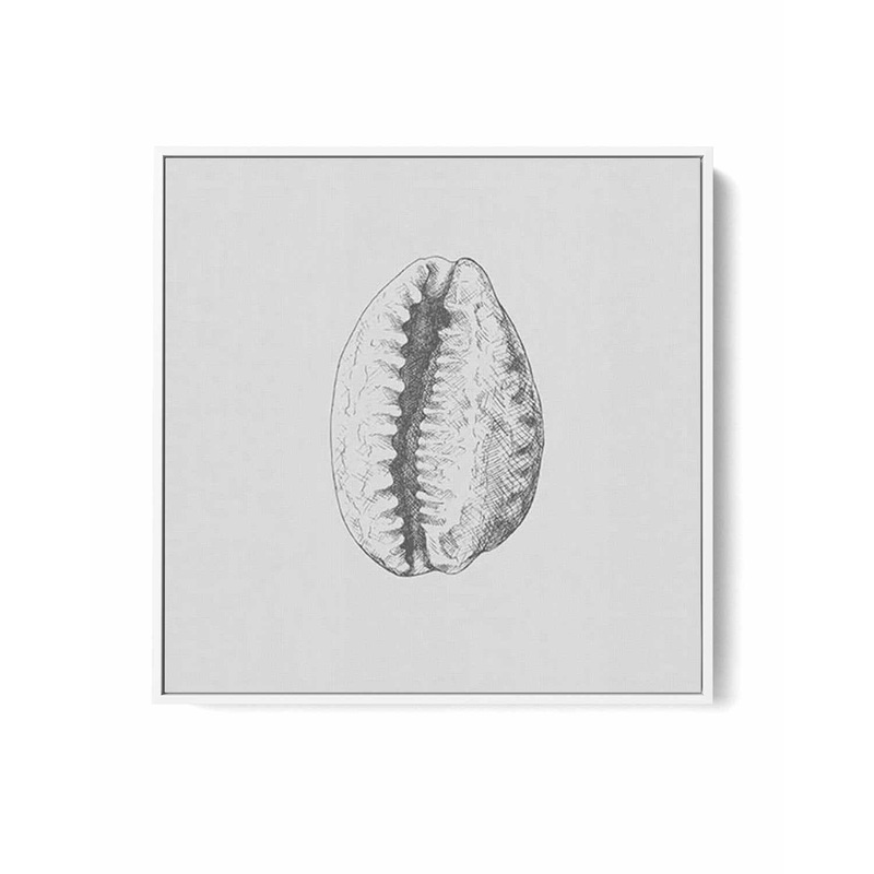 Seashell | Tiger Cowrie SQ | Framed Canvas Art Print