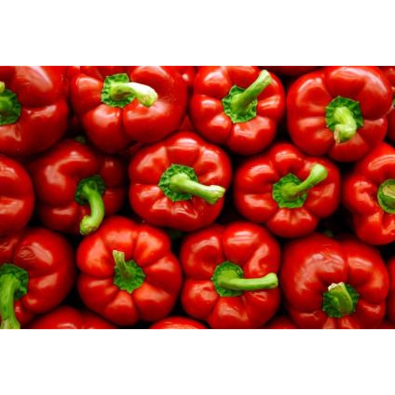 Swadini Sweet Red Bell Pepper – Bulk Vegetable Seeds – 200 seeds