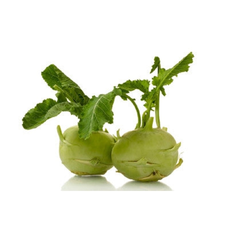 White Vienna Kohlrabi – Brassica Oleracea Gongylodes – Vegetable – 300 Seeds