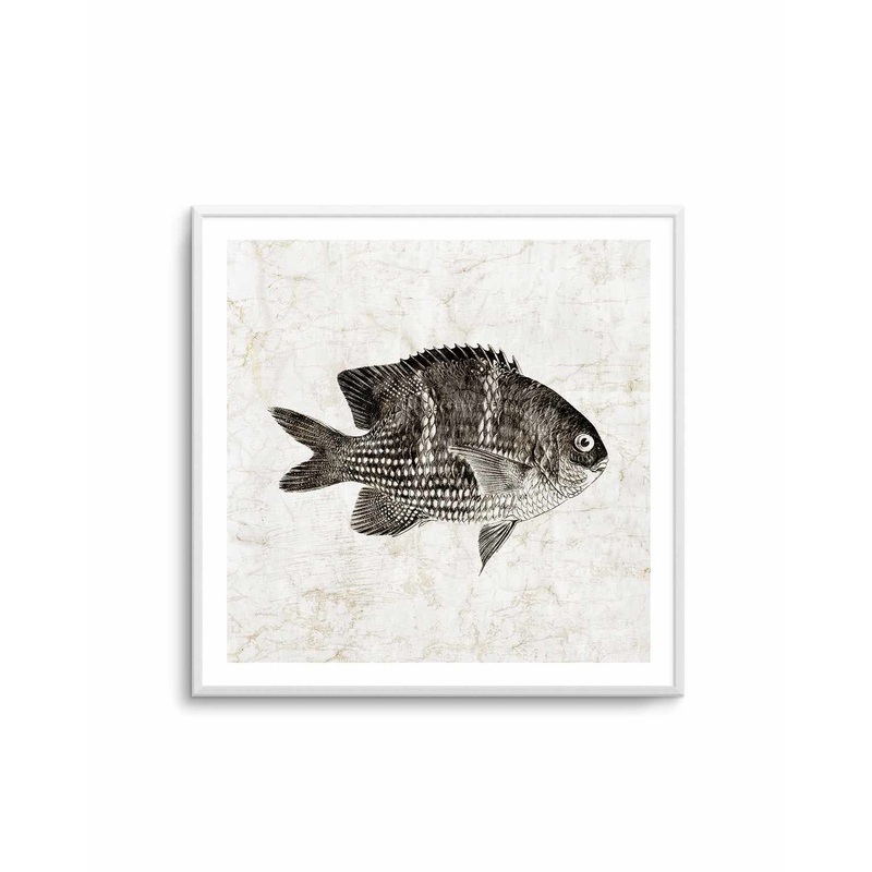 Vintage Fish I Art Print