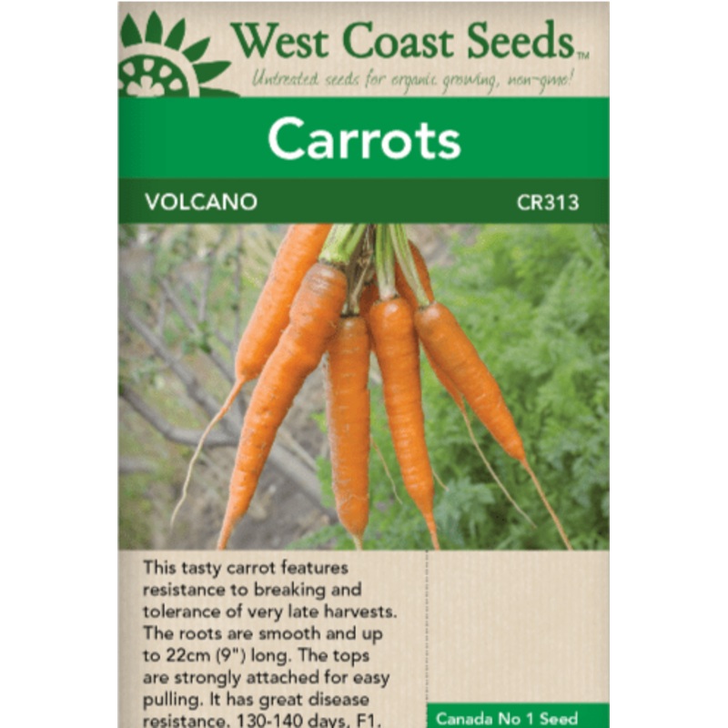 Tianquiping Chinoiserie Red Dragon Jar