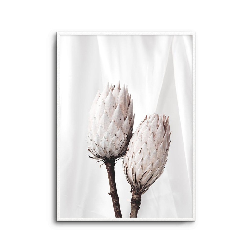 Twin Protea Art Print