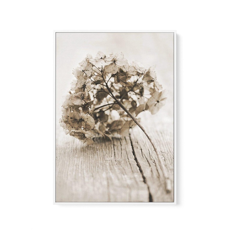 Vintage hydrangea | Framed Canvas Art Print