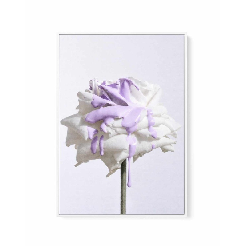 Wild Rose in Lilac I PT | Framed Canvas Art Print