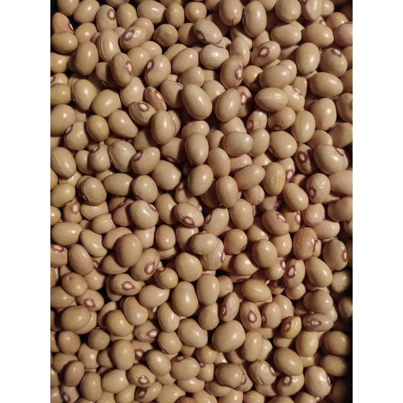 Tomatoes Garden Candy – Renee’s Garden