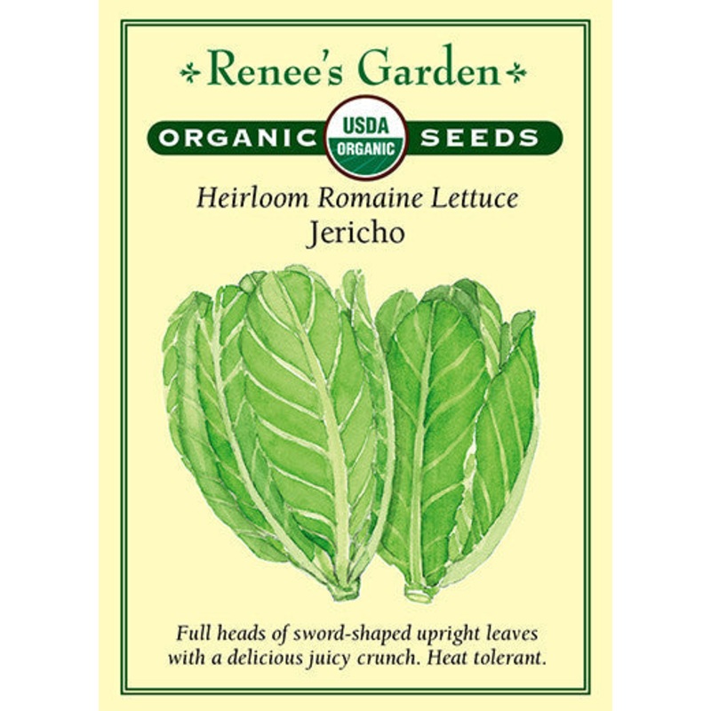 Wild Pacific Coastal Mix – Pacific Northwest Seeds