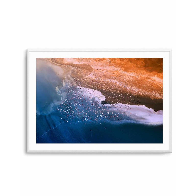 Birds in Flight by Phillip Chang Art Print