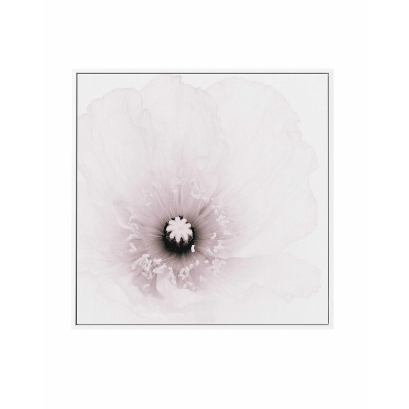 Classic Poppy | Framed Canvas Art Print