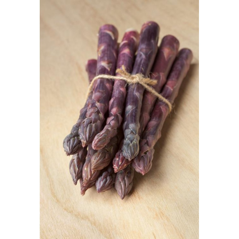 Sweet Purple Asparagus – Asparagus Officinalis – Vegetable – 5 Seeds