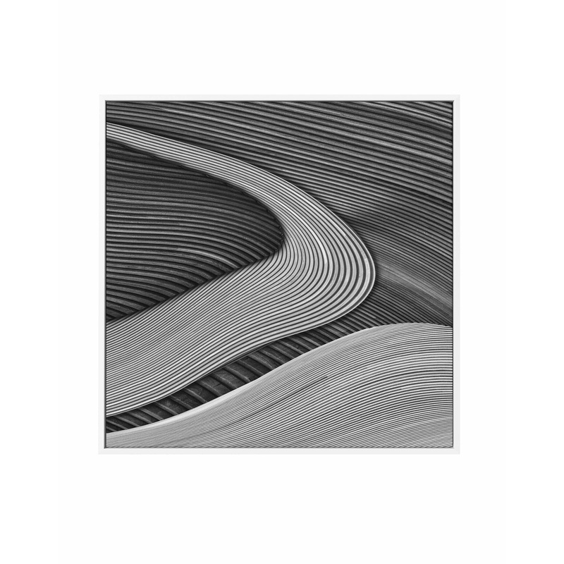 The Wood Project III – Zen Garden | Framed Canvas Art Print