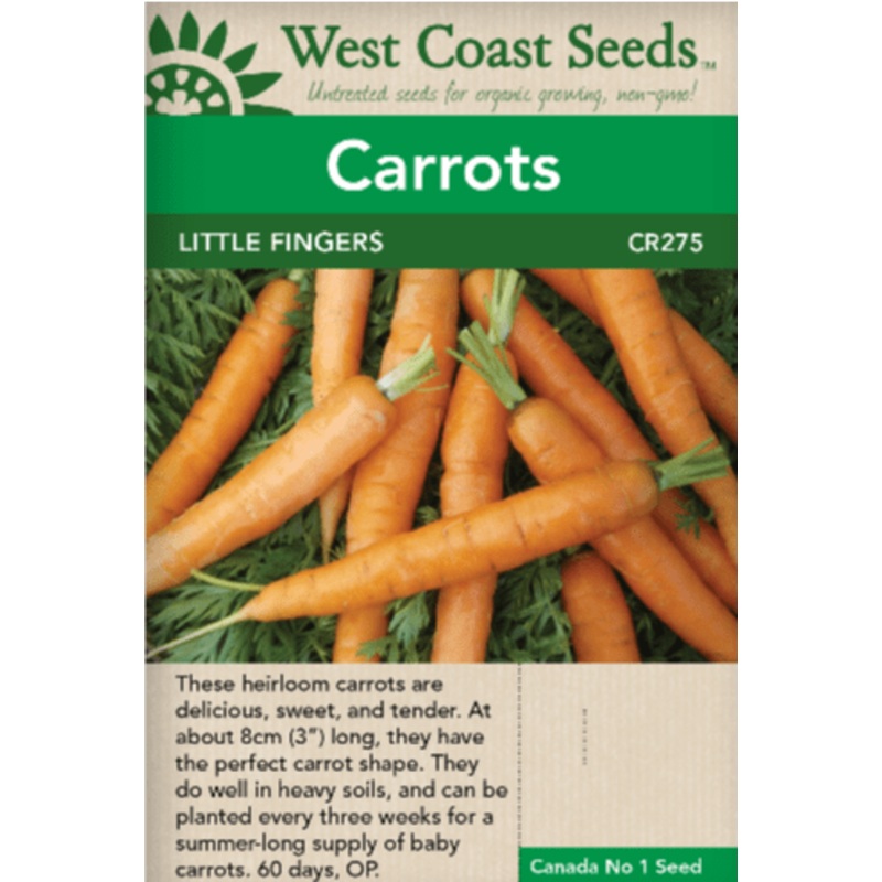 Vetro Wine Goblet – Set of 6