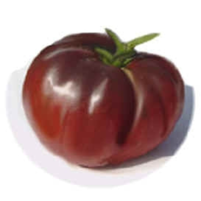 Black Krim Tomato – Lycopersicon Esculentum – 5 Seeds
